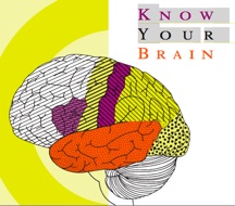 KNow YOur Brain