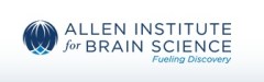 Allen Institute image