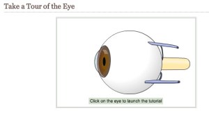 Eye Tour Cleveland Clinic