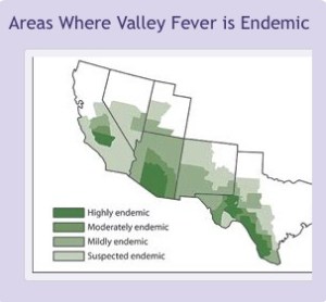 valley fever
